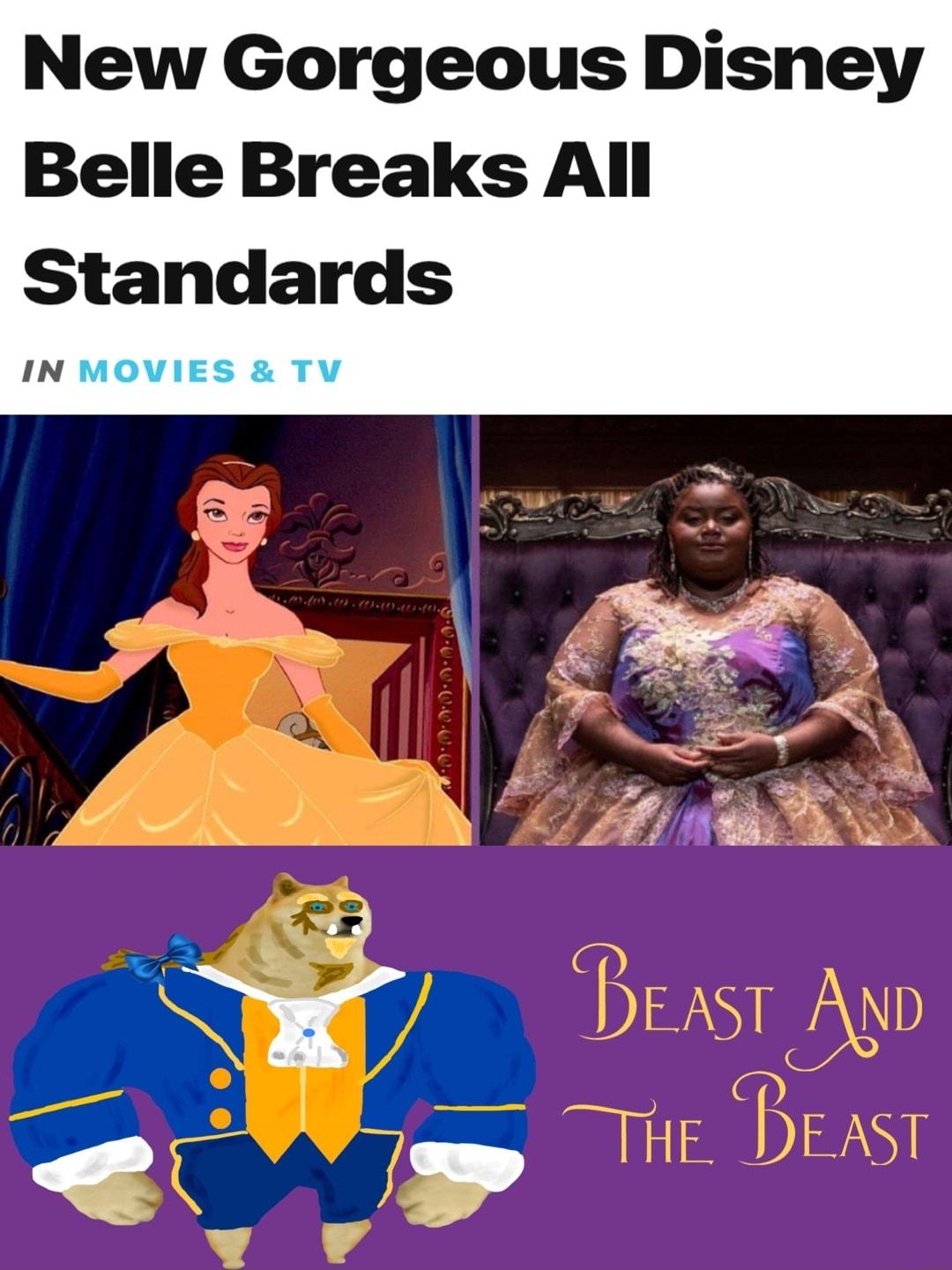 New Gorgeous Disney Belle Breaks All Standards IN