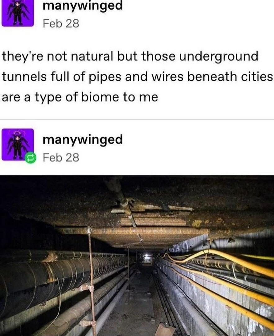manywinged Feb 28 theyre not natural but those underground tunnels full of pipes and wires beneath cities are a type of biome to me manywinged Feb 28