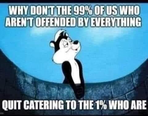 WHY DON'T THE 99% OF US WHO AREN'T OFFENDED BY EVERYTHING QUIT CATERING TO THE 1% WHO ARE