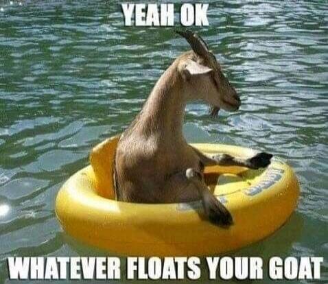 YEAH OK WHATEVER FLOATS YOUR GOAT