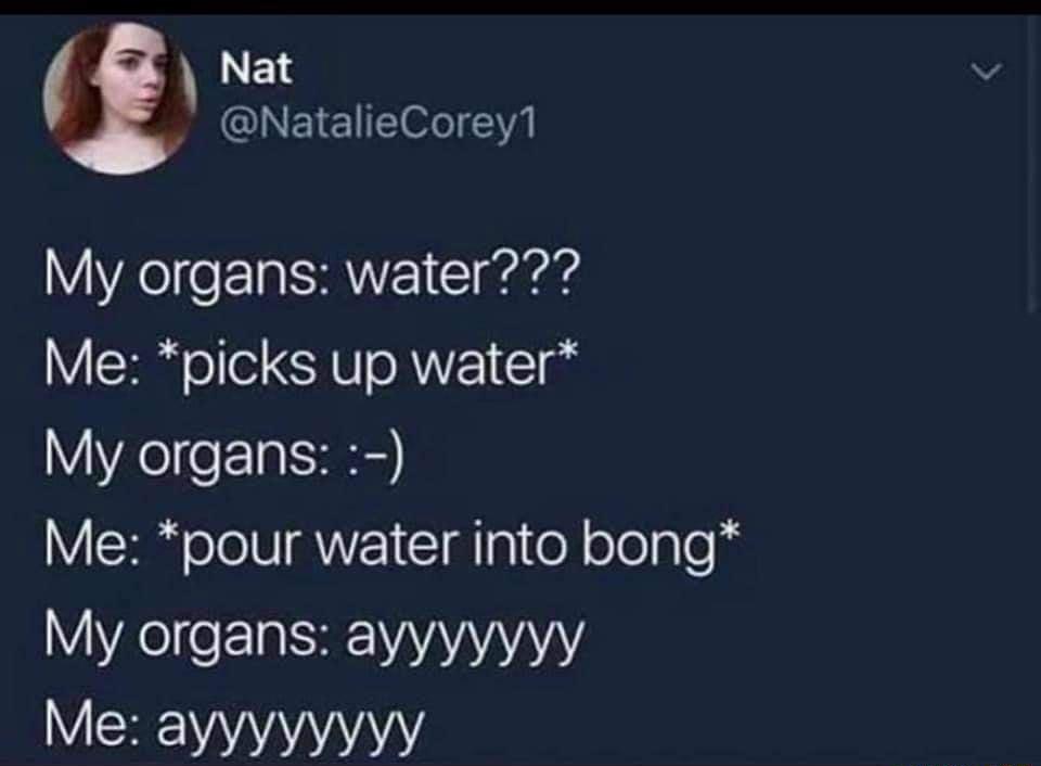 Nat NatalieCorey1 My organs water Me picks up water My organs Me pour water into bong My organs ayyyyyyy Me ayyyyyyyy