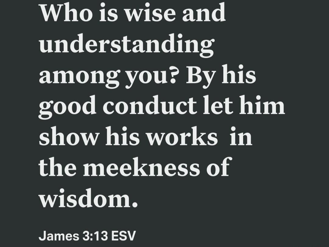 Who is wise and understanding among you? By his good conduct let him show his works in the meekness of wisdom. James 3:13 ESV