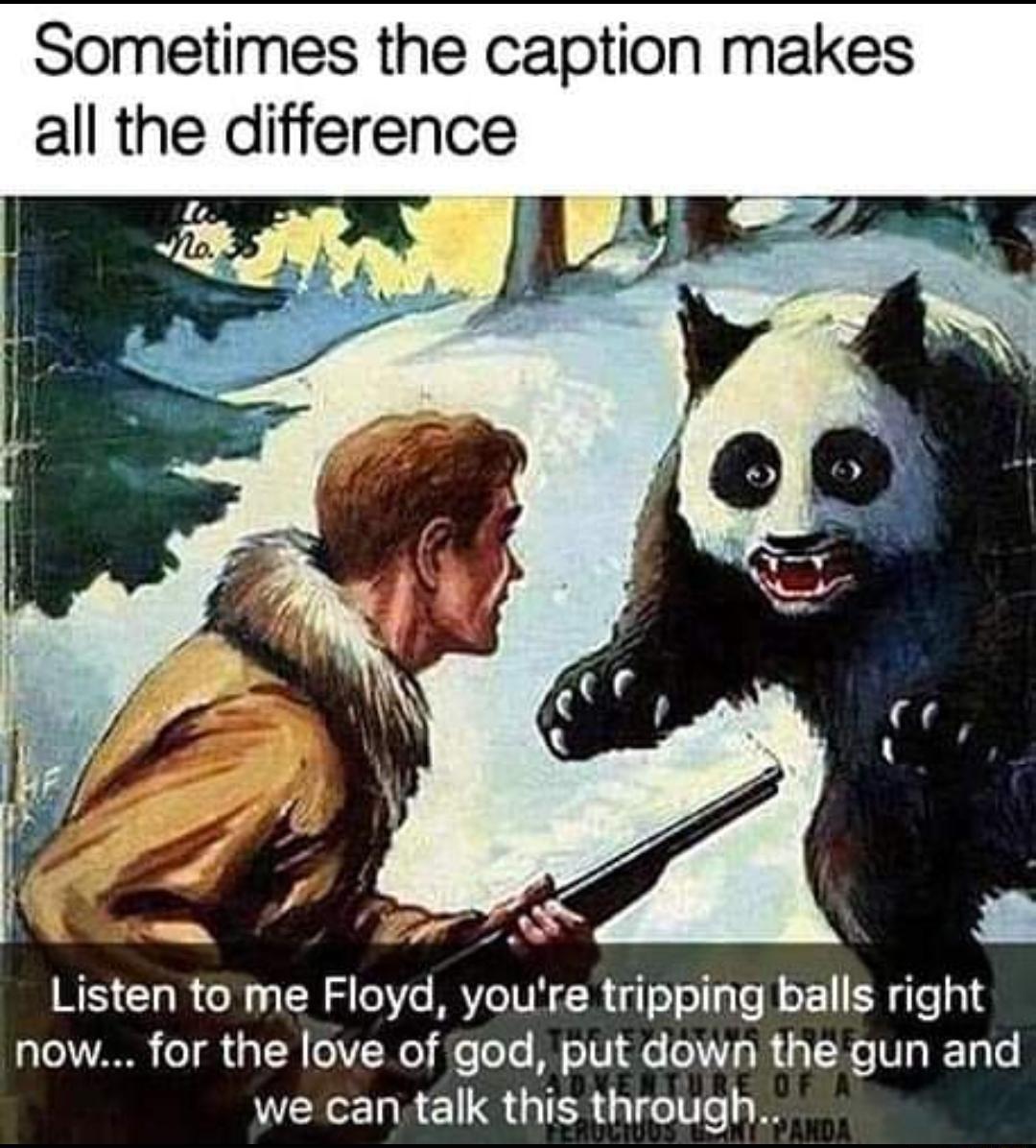 Sometimes the caption makes all the difference Listen to me Floyd youre tripping balls right 3 o1 o1 8 o117 Ne e ToTc M 6 0 N W 5 YKo N3 Wy o we can talk this through