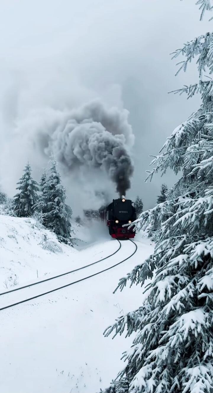 A steam locomotive chugs through a snowy forest, releasing a plume of dark smoke.
