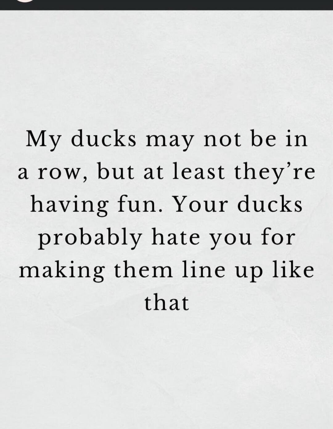 My ducks may not be in a row, but at least they’re having fun. Your ducks probably hate you for making them line up like that