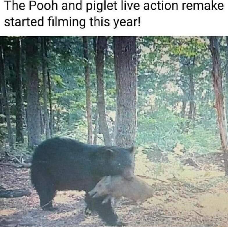 The Pooh and piglet live action remake started filming this year