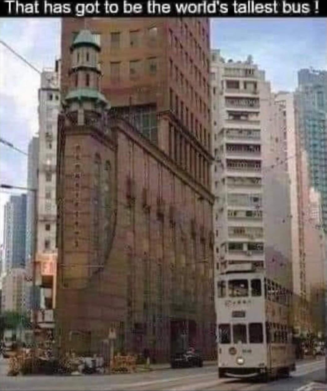 hat has got to be the worlds tallest bus