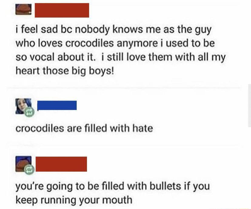 i feel sad bc nobody knows me as the guy who loves crocodiles anymore i used to be so vocal about it i still love them with all my heart those big boys m crocodiles are filled with hate youre going to be filled with bullets if you keep running your mouth