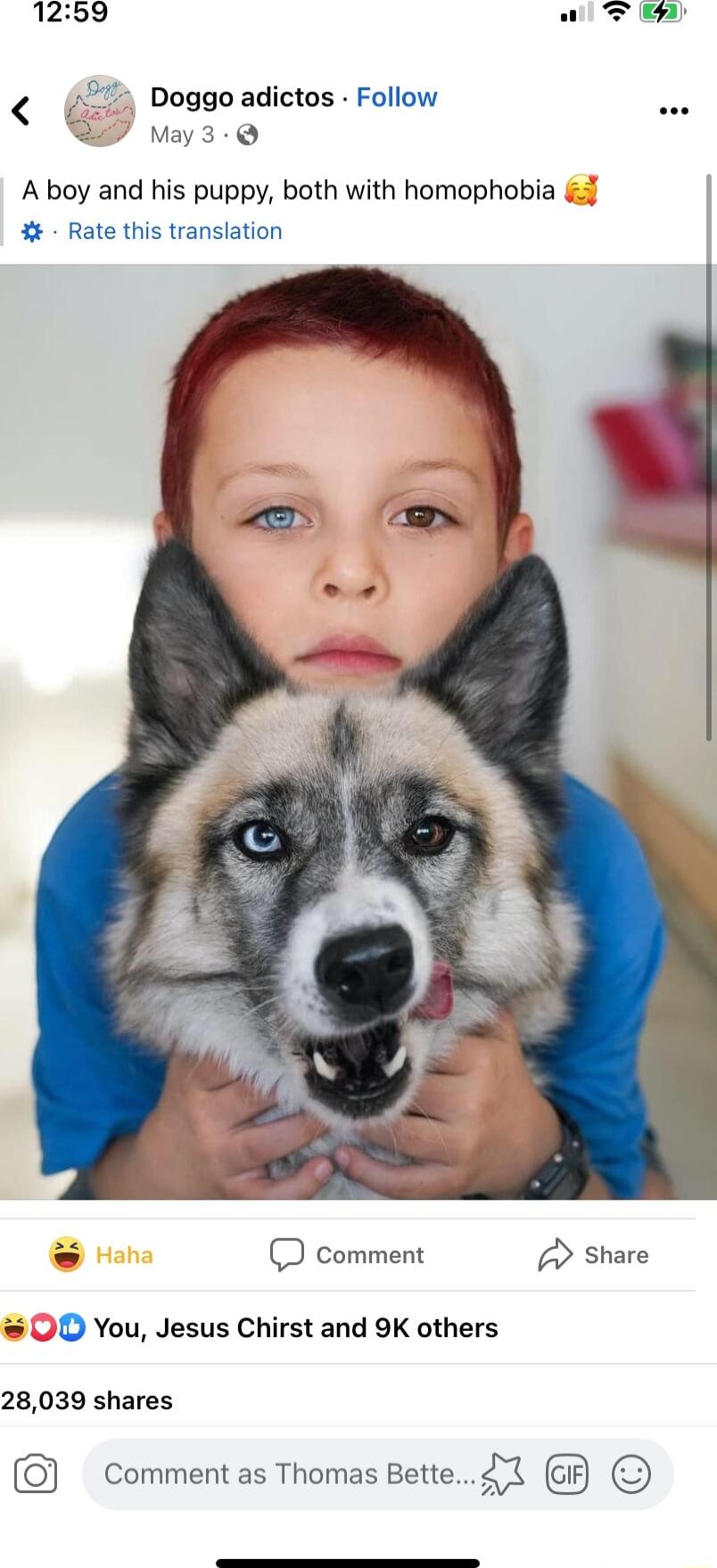 1259 Doggo adictos Follow May3 Q A boy and his puppy both with homophobia 1 Rate this translation D comment Share 0D You Jesus Chirst and 9K others 28039 shares G Comment as Thomas Bette