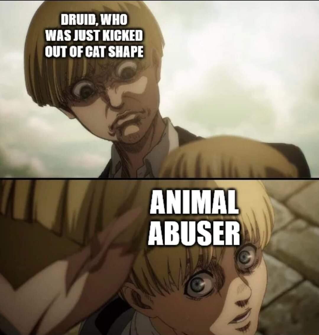 DRUID WHO WAS JUST KICKED OUT OF CAT SHAPE b ANIMALIR ABUSER