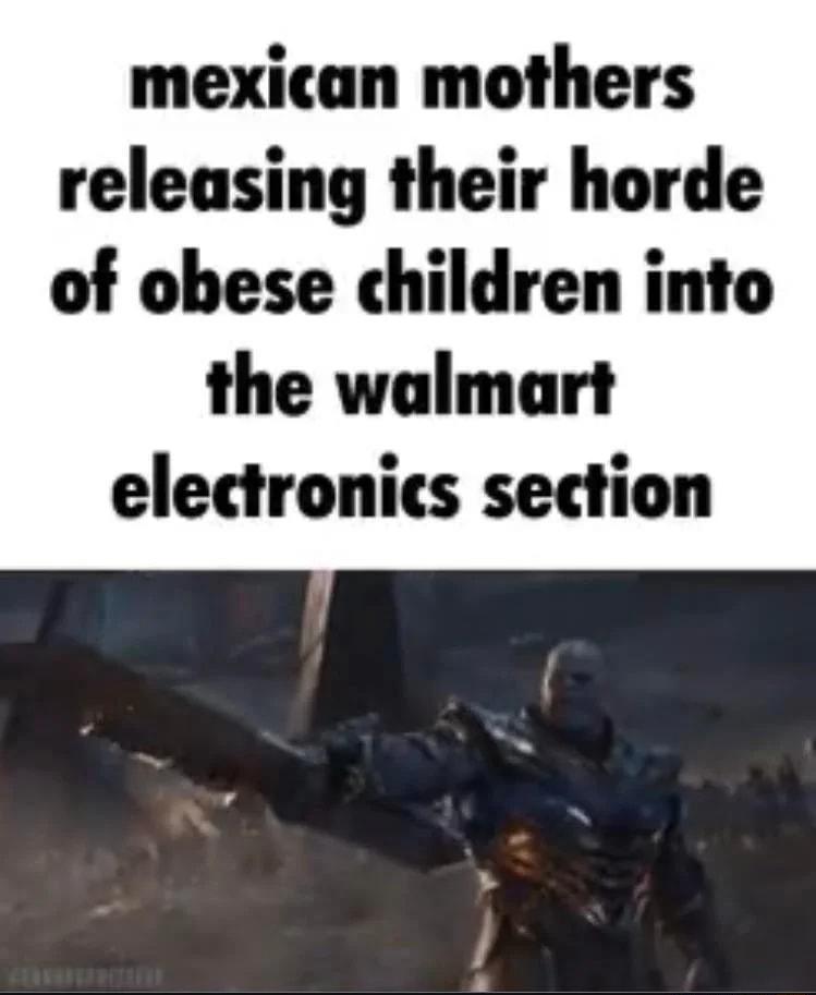 mexican mothers releasing their horde of obese children into the walmart electronics section