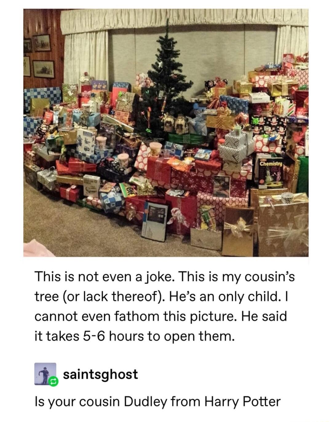 This is not even a joke This is my cousins tree or lack thereof Hes an only child cannot even fathom this picture He said it takes 5 6 hours to open them I saintsghost Is your cousin Dudley from Harry Potter