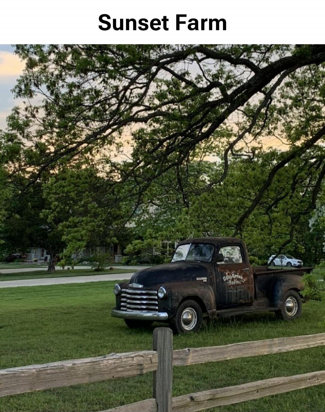 Sunset Farm