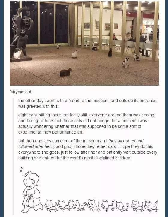 faiymascot the other day went with a friend to the museum and outside fs entrance was greeted wih this elght cats siting there perfectly stl everyone around them was cooing and taking pictures but those cats did not budge for a moment was actually wondering whefher that was supposed o be some sort of expenmental new performance art butthen one Iady came out of the museum and they all got Up and fo