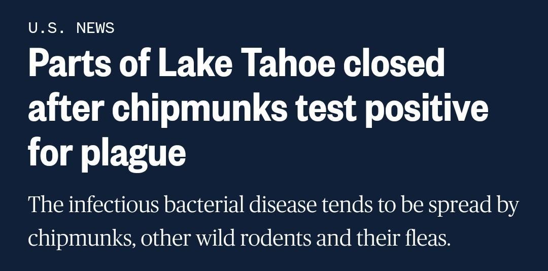 US NEWS Parts of Lake Tahoe closed after chipmunks test positive for plague The infectious bacterial disease tends to be spread by chipmunks other wild rodents and their fleas