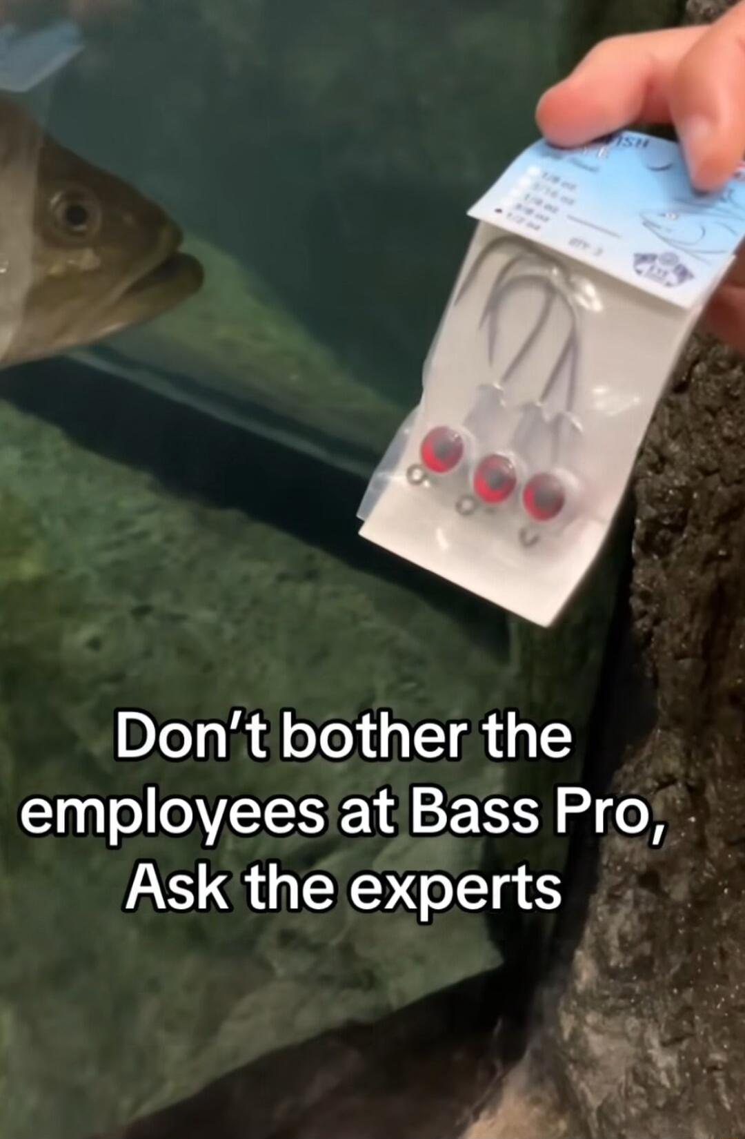 Dont bother the employees at Bass Pro Ask the experts f