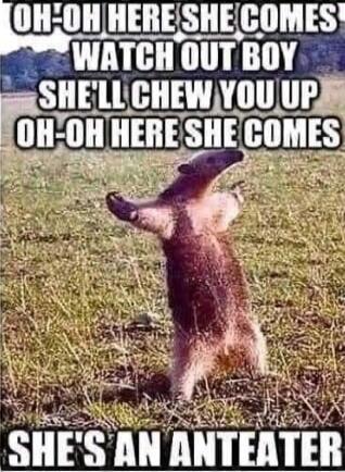 OH-OH HERE SHE COMES WATCH OUT BOY SHE'LL CHEW YOU UP OH-OH HERE SHE COMES SHE'S AN ANTEATER
