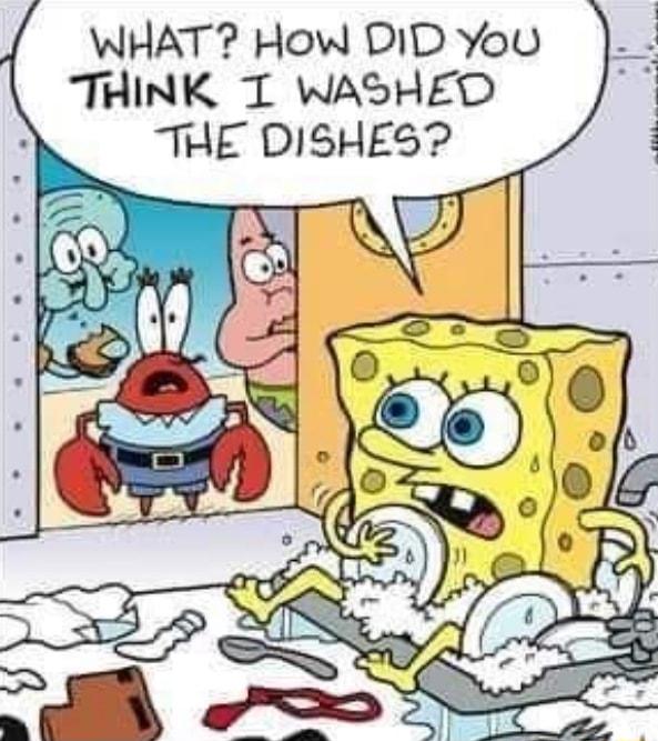 WHAT How DID You THINK T WASHED THE DISHES