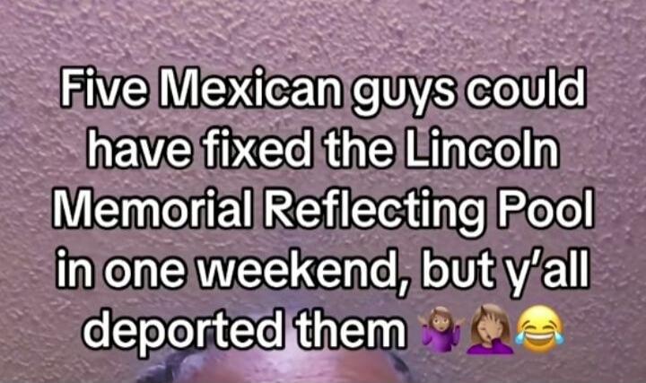 Five Mexican guys could have fixed the Lincoln Memorial Reflecting Pool in one weekend, but y'all deported them