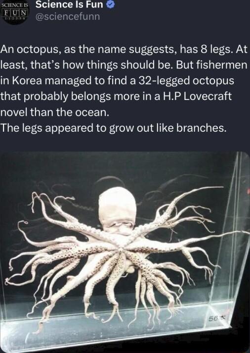 s Sclence Is Fun FIUIN An octopus as the name suggests has 8 legs At least thats how things should be But fishermen DU CIEENNENEEC RGRT T RV T Rl e o TE that probably belongs more in a HP Lovecraft QOTRGENRGTRCIEL N The legs appeared to grow out like branches