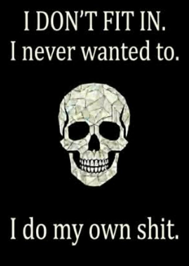 I DON'T FIT IN. I never wanted to. I do my own shit.