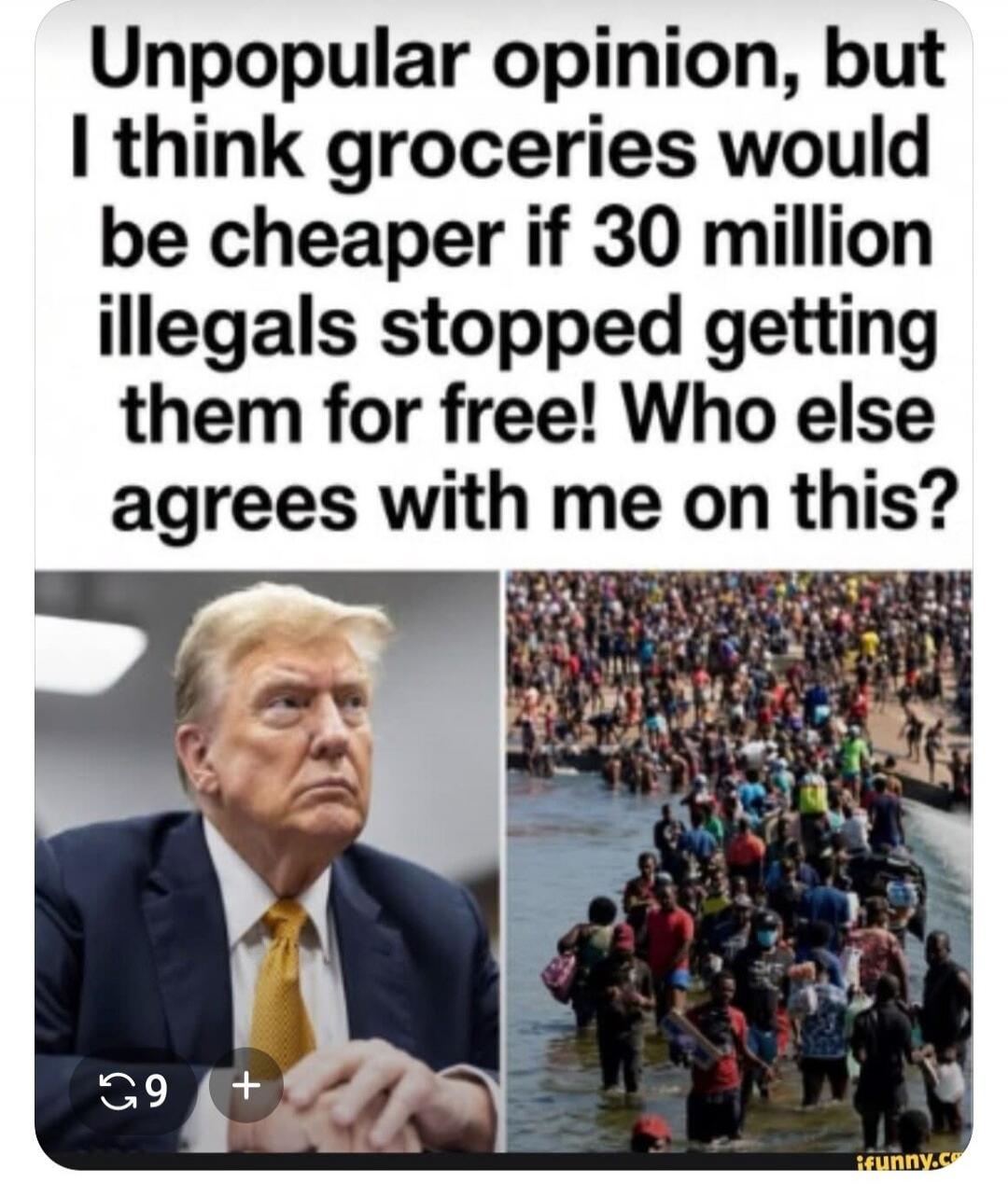 Unpopular opinion, but I think groceries would be cheaper if 30 million illegals stopped getting them for free! Who else agrees with me on this?