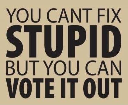 YOU CANT FIX STUPID BUT YOU CAN VOTE IT OUT