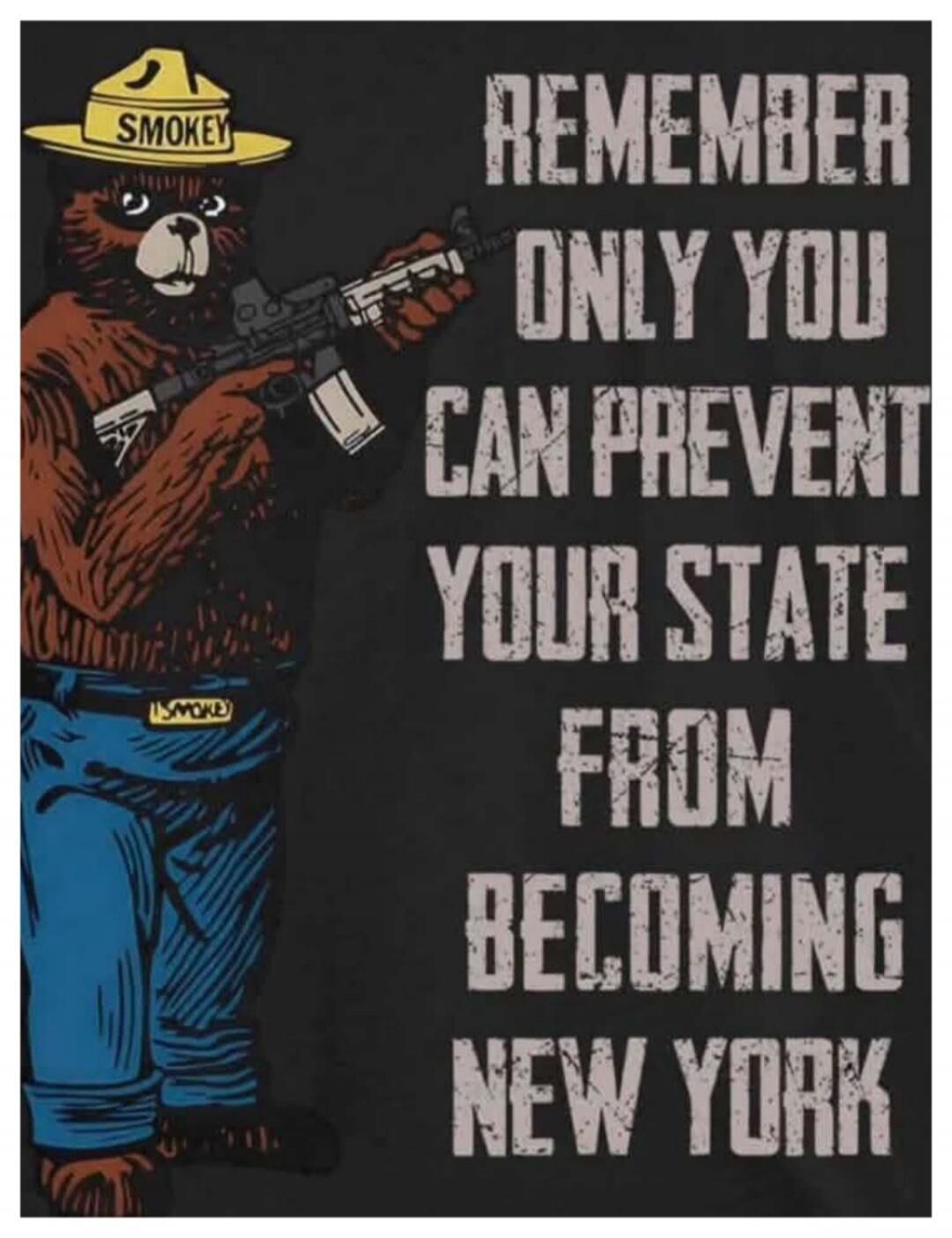 SMOKEY REMEMBER ONLY YOU CAN PREVENT YOUR STATE FROM BECOMING NEW YORK SMOKE