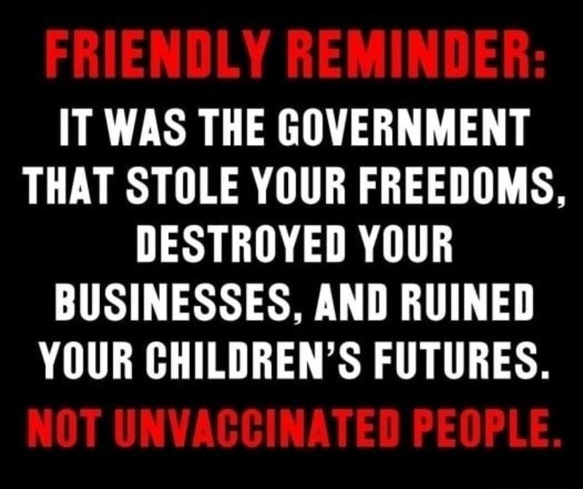 IT WAS THE GOVERNMENT THAT STOLE YOUR FREEDOMS DESTROYED YOUR BUSINESSES AND RUINED YOUR CHILDRENS FUTURES