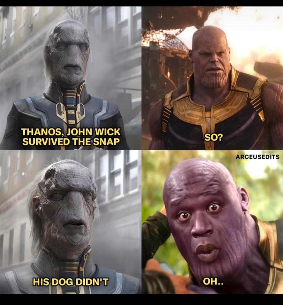 p o JOHN WICK THANOS SURVIVED THE SNAP