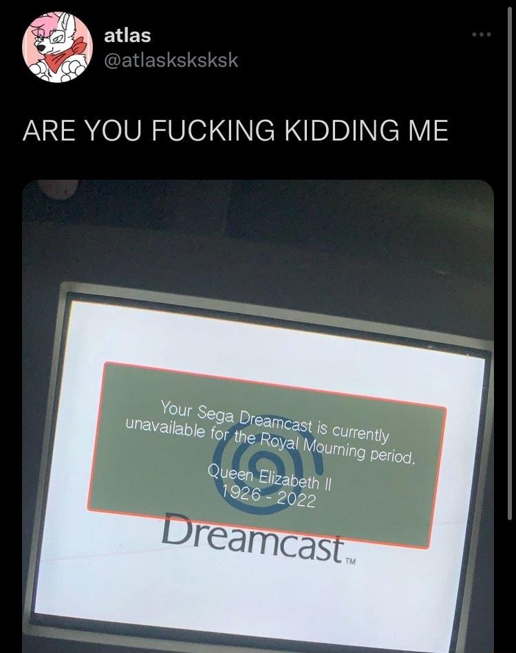 ELES ARE YOU FUCKING KIDDING ME