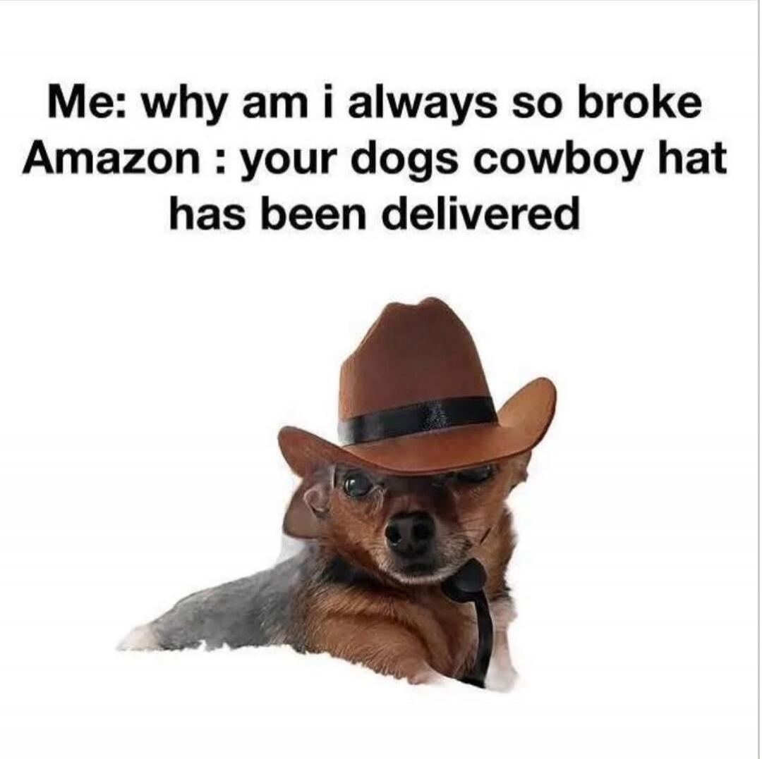 Me: why am i always so broke
Amazon : your dogs cowboy hat has been delivered