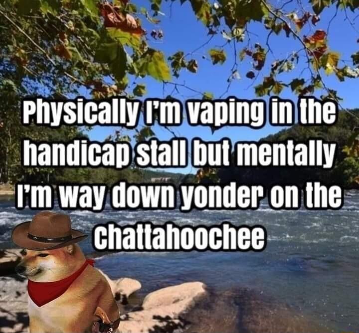 ekt e anslca v Imvapinginthe Ilanllltall81_Llllll mentally Im way down yonder on the T lnatlanuocnee