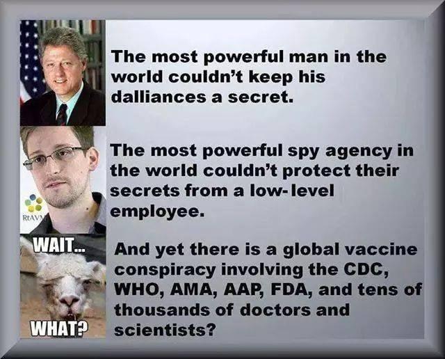 The most powerful man in the world couldnt keep his dalliances a secret The most powerful spy agency in the world couldnt protect their secrets from a low level employee And yet there is a global vaccine conspiracy involving the CDC WHO AMA AAP FDA and tens of thousands of doctors and scientists A