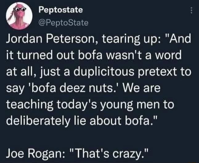 LELICE ST PeptoState Jordan Peterson tearing up And it turned out bofa wasnt a word at all just a duplicitous pretext to say bofa deez nuts We are LCE TR oo EWACRY eIV 4 1 ST B o deliberately lie about bofa Joe Rogan Thats crazy