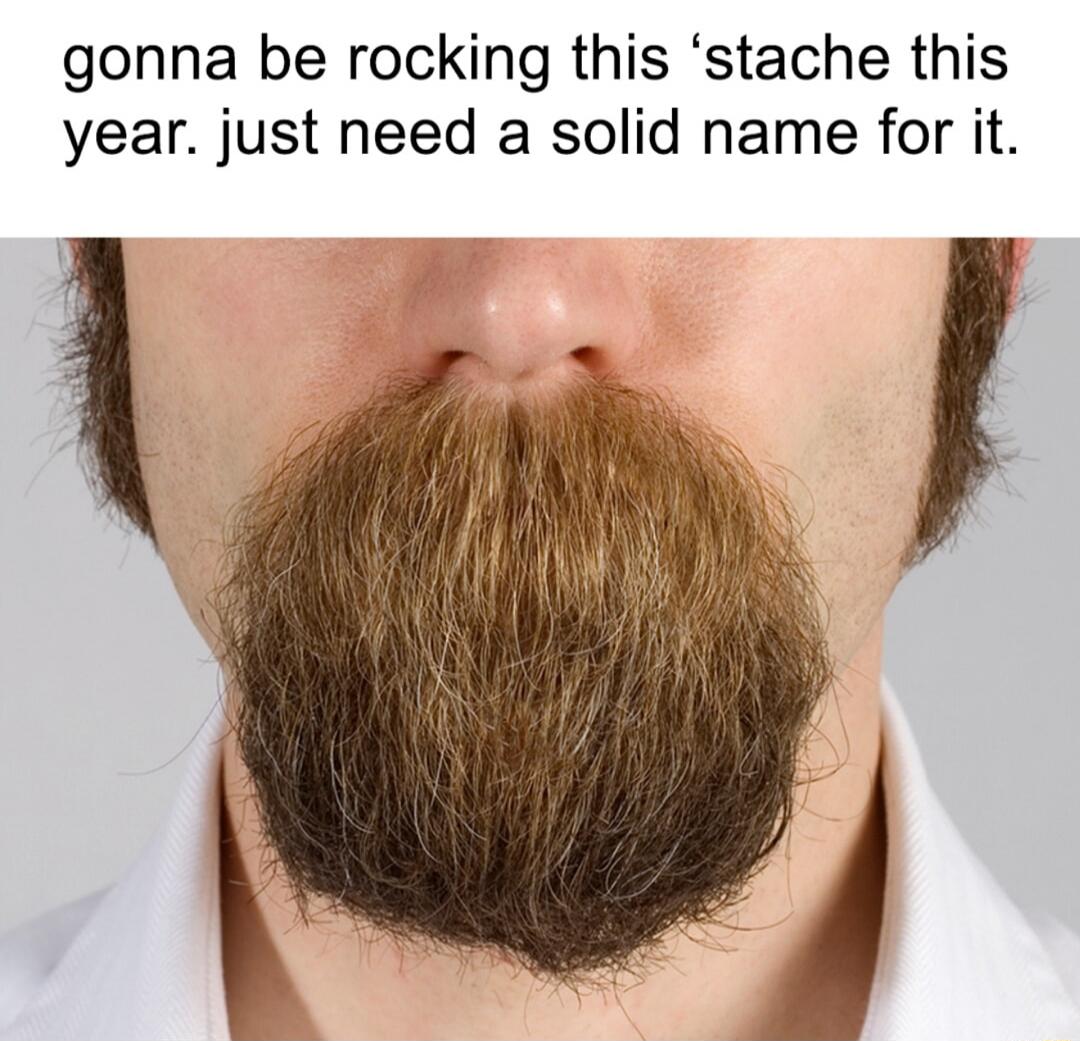 gonna be rocking this ‘stache this year. just need a solid name for it.