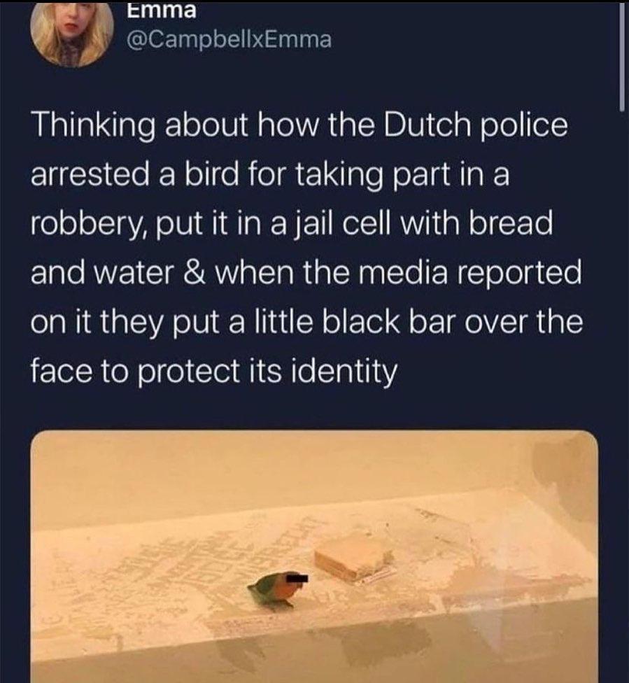 6 a Emma CampbellxEmma Thinking about how the Dutch police IS Cle Nollo RioE 1Nalo Nor Tadl g robbery put it in a jail cell with bread 1ale AVVEI IR alcTa R a LW palTo N T ololg T on it they put a little black bar over the face to protect its identity