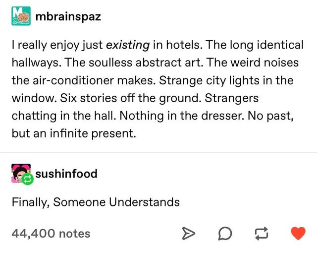 mbrainspaz really enjoy just existing in hotels The long identical hallways The soulless abstract art The weird noises the air conditioner makes Strange city lights in the window Six stories off the ground Strangers chatting in the hall Nothing in the dresser No past but an infinite present Esushinfood Finally Someone Understands 2 44400 notes 0D