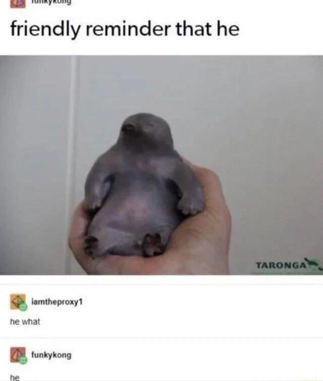 friendly reminder that he