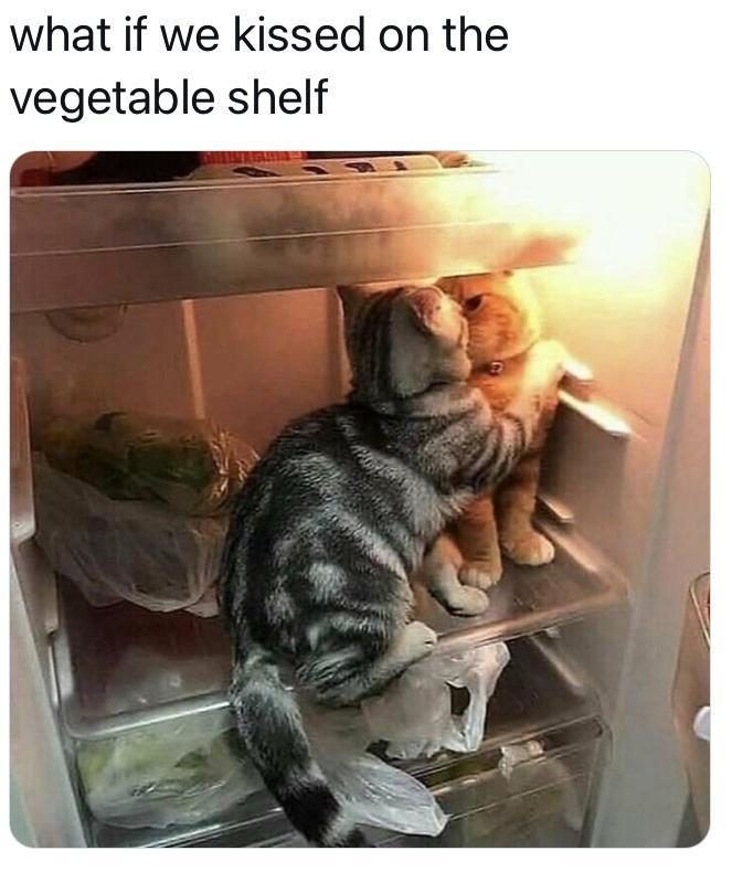 what if we kissed on the vegetable shelf