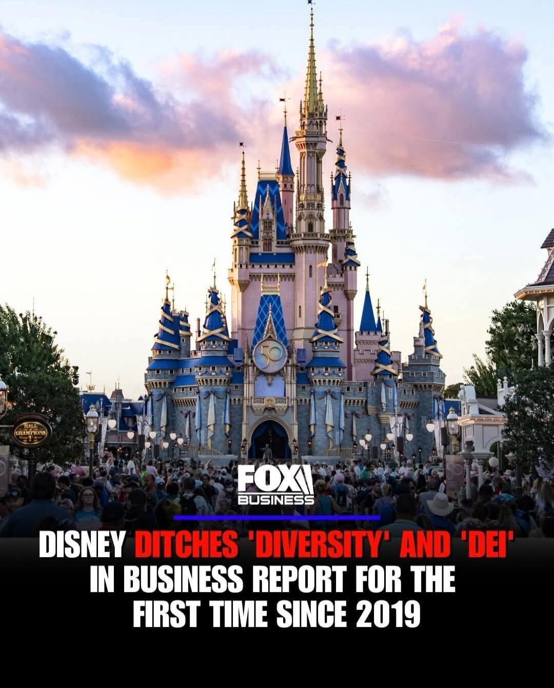 DISNEY DITCHES 'DIVERSITY' AND 'DEI' IN BUSINESS REPORT FOR THE FIRST TIME SINCE 2019