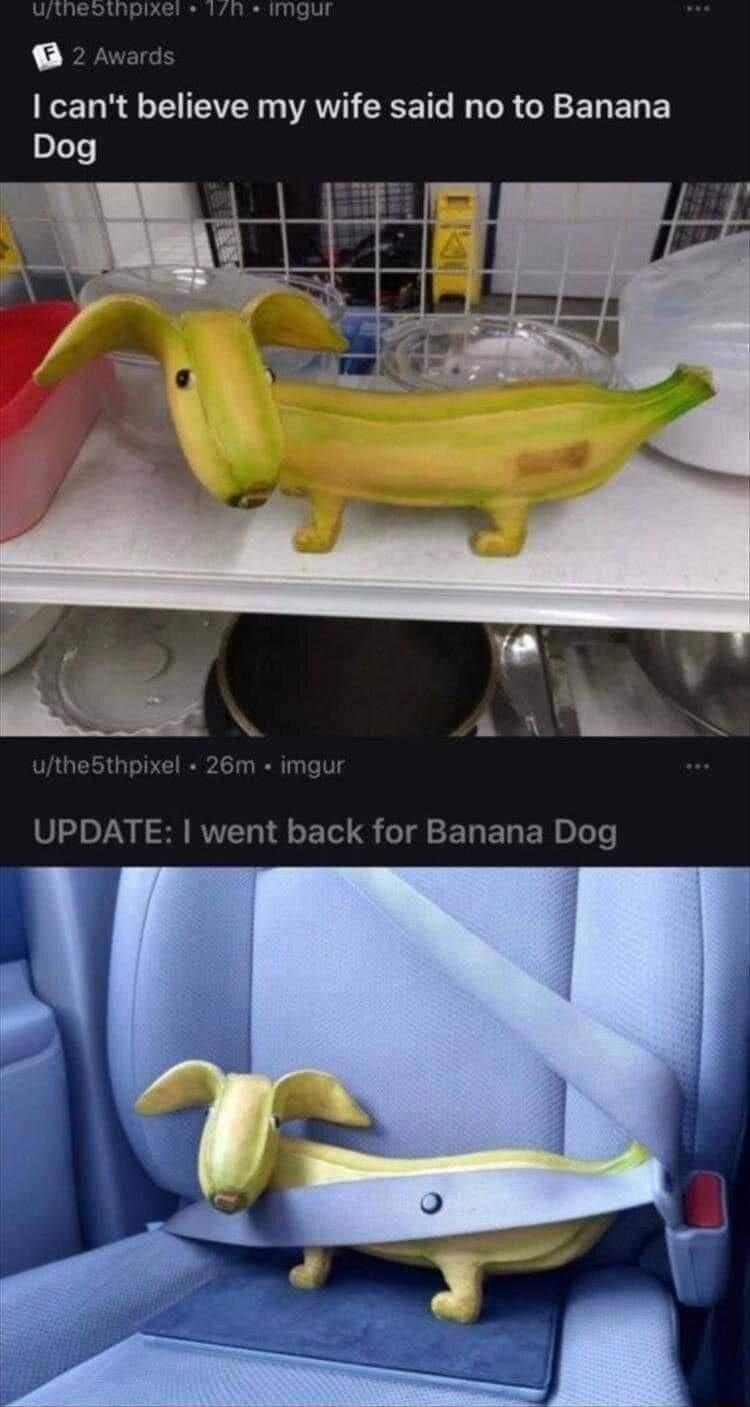 L cant believe my wife said no to Banana