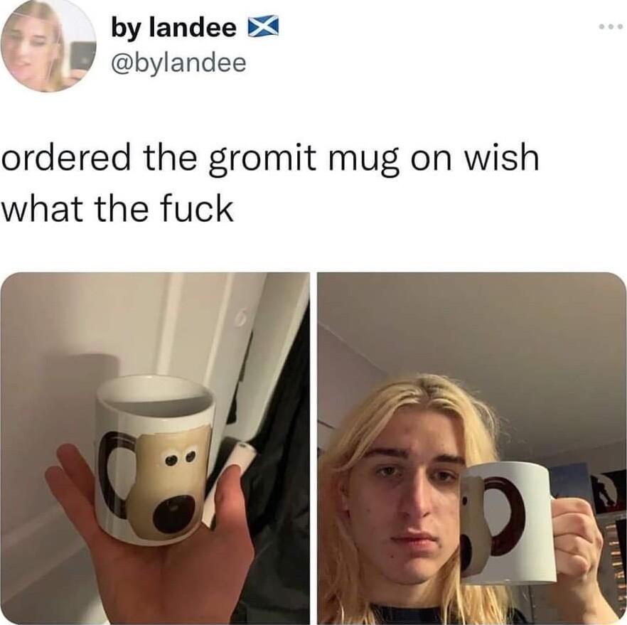 by landee 2 bylandee ordered the gromit mug on wish what the fuck
