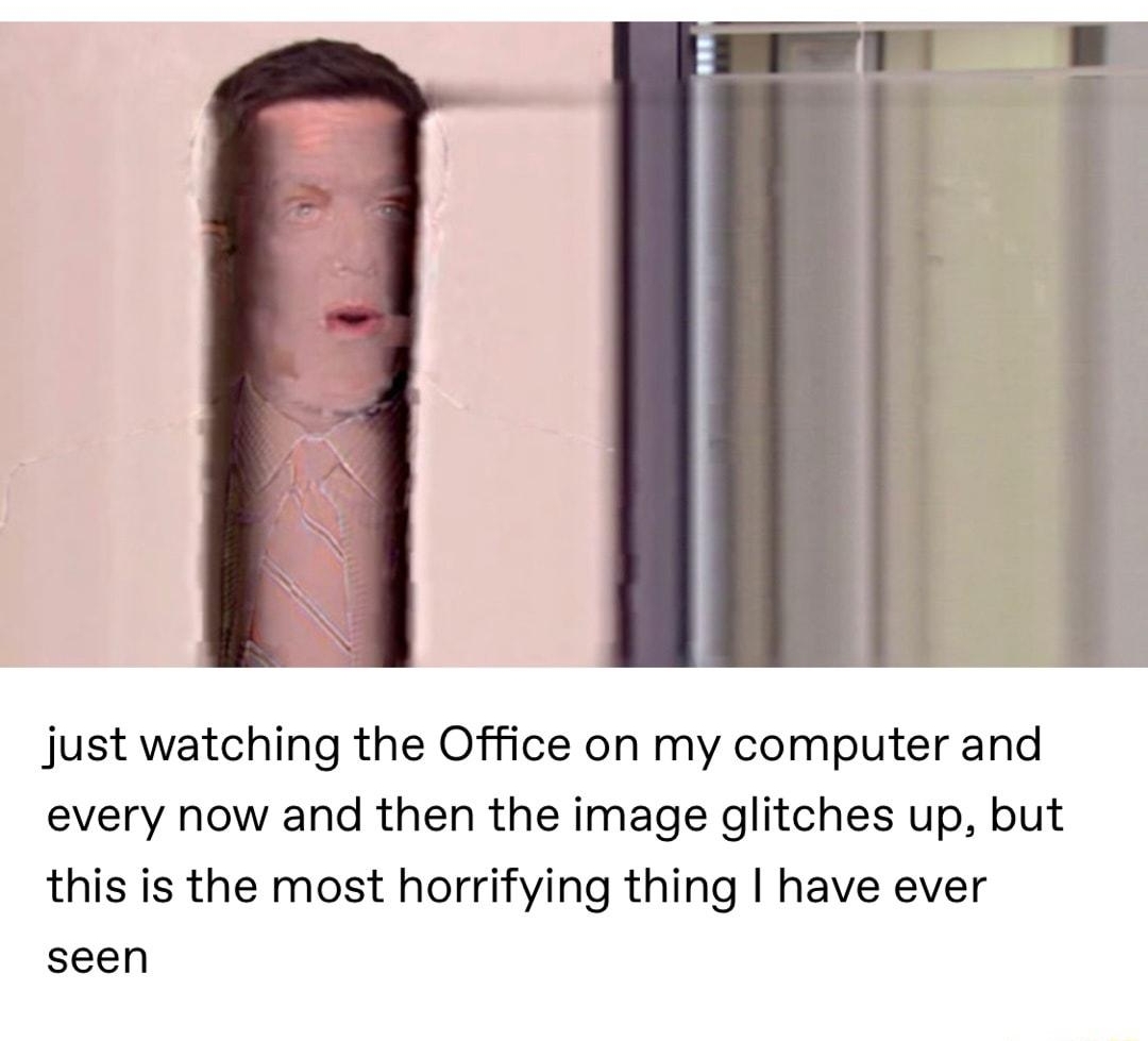just watching the Office on my computer and every now and then the image glitches up but this is the most horrifying thing have ever seen