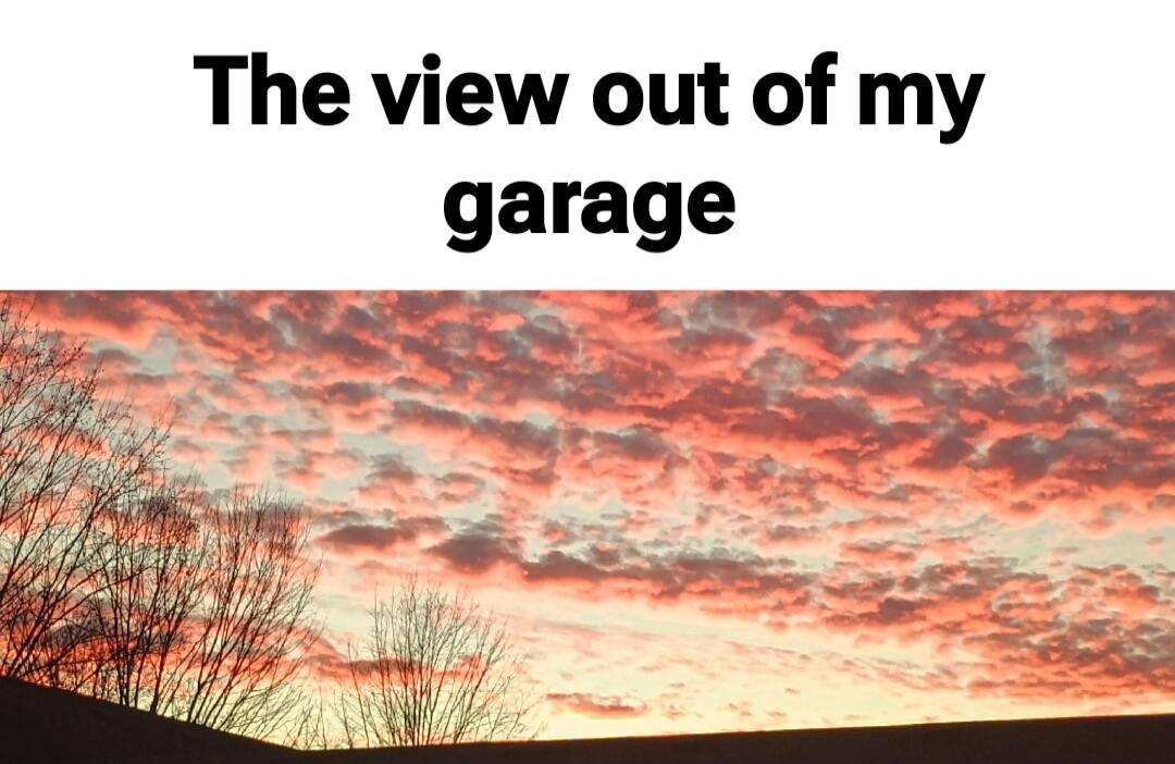 The view out of my garage