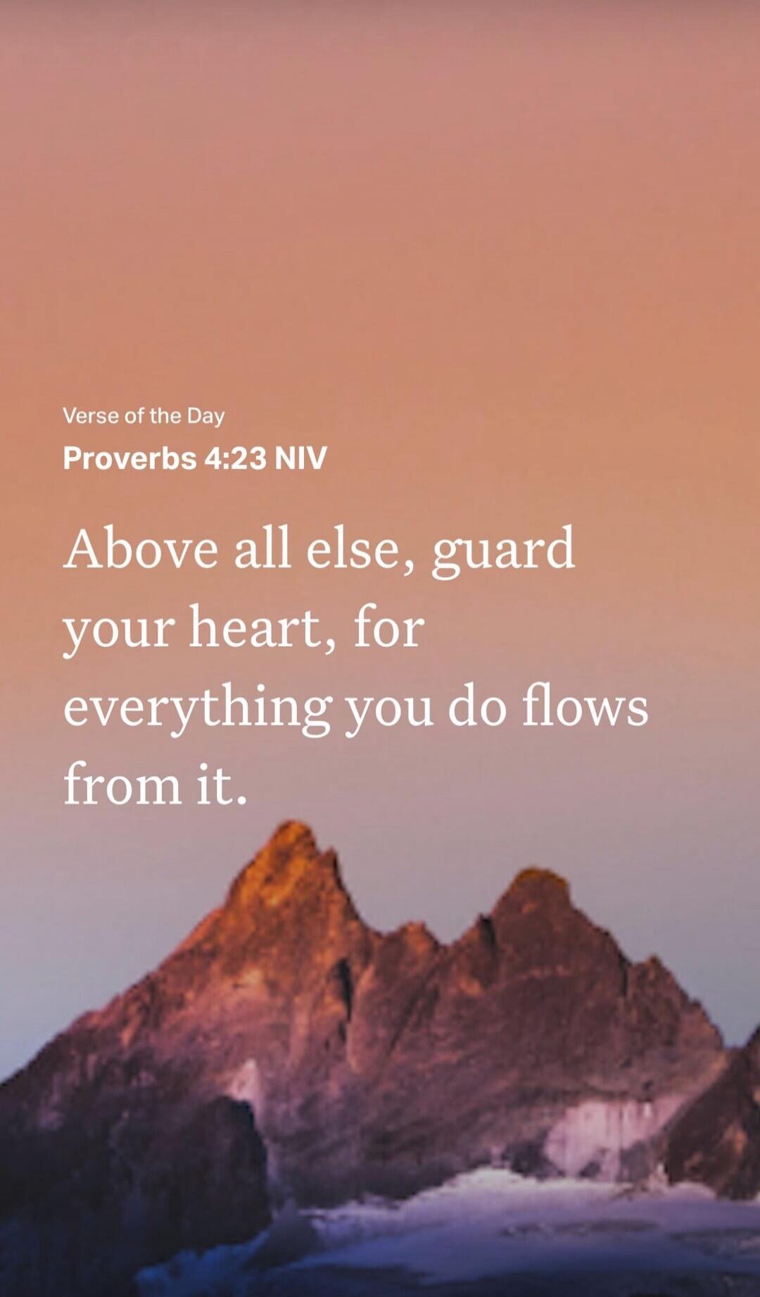Verse of the Day Proverbs 4:23 NIV Above all else, guard your heart, for everything you do flows from it.