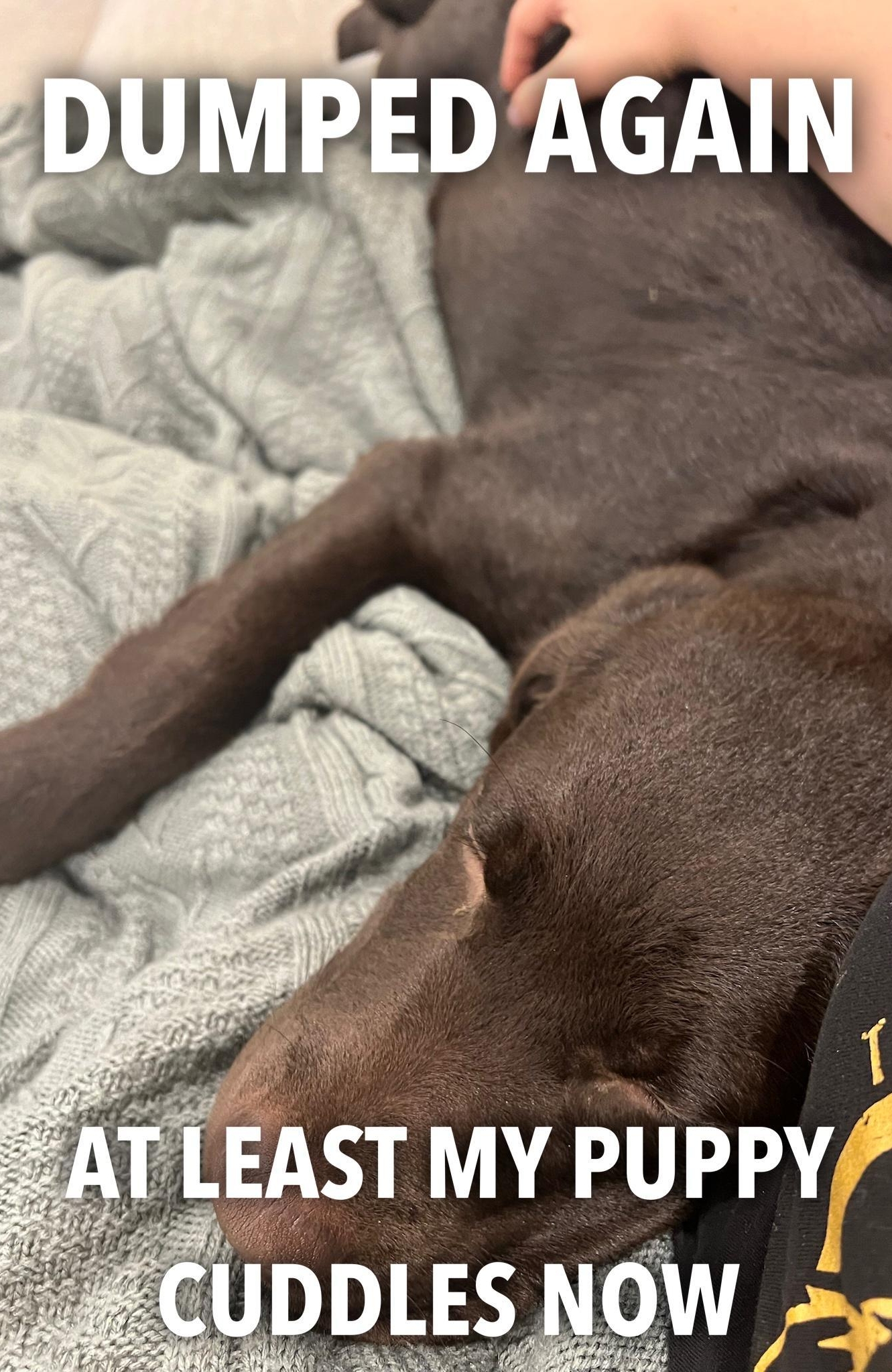 H g EAST MY PUPPY UDDLES NOW