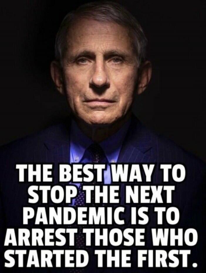 THE BEST WAY TO STOP THE NEXT PANDEMIC IS TO ARREST THOSE WHO STARTED THE FIRST.
