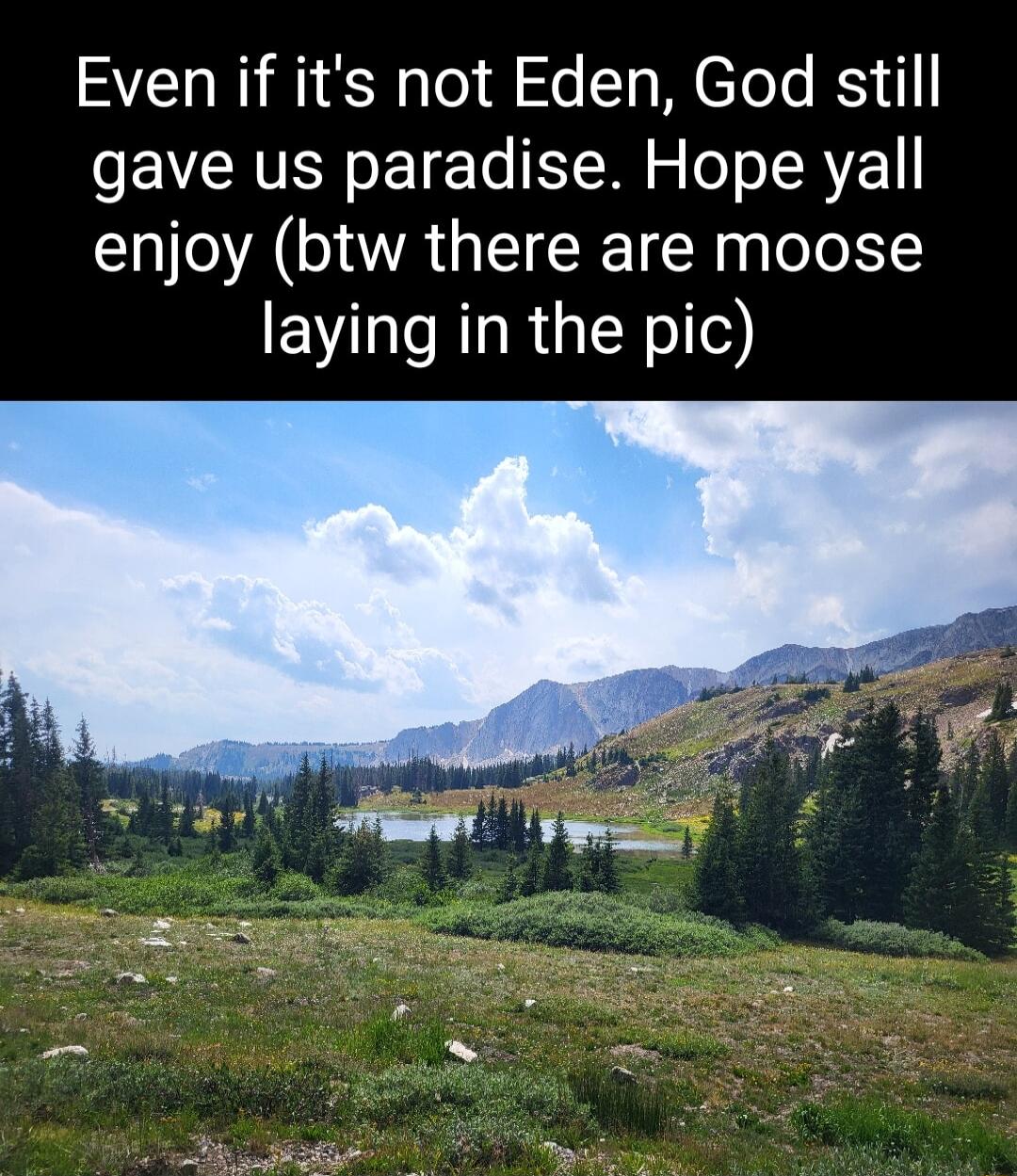 Even if its not Eden God still gave us paradise Hope yall enjoy btw there are moose laying in the pic b