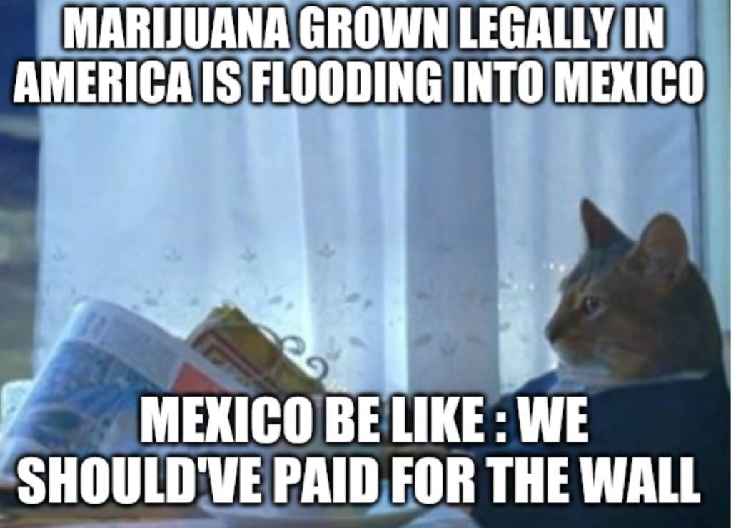 A oo o FLOODING INTO MEXICO